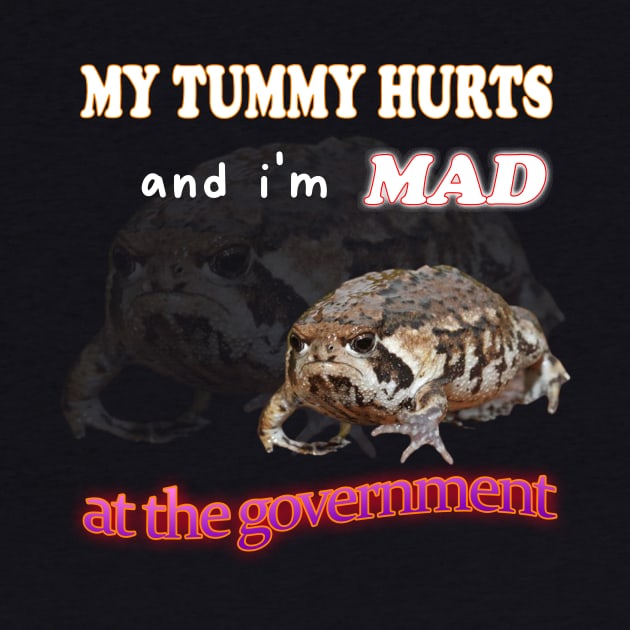 My Tummy Hurts And I'm MAD At The Government Meme by Hamza Froug